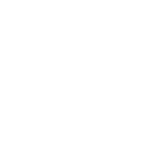 fiat1